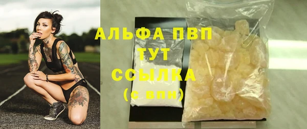 сатива Заводоуковск