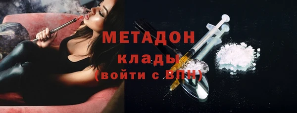 сатива Заводоуковск
