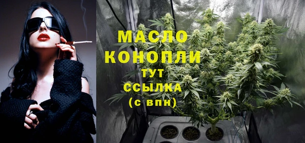 сатива Заводоуковск