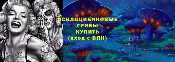 сатива Заводоуковск
